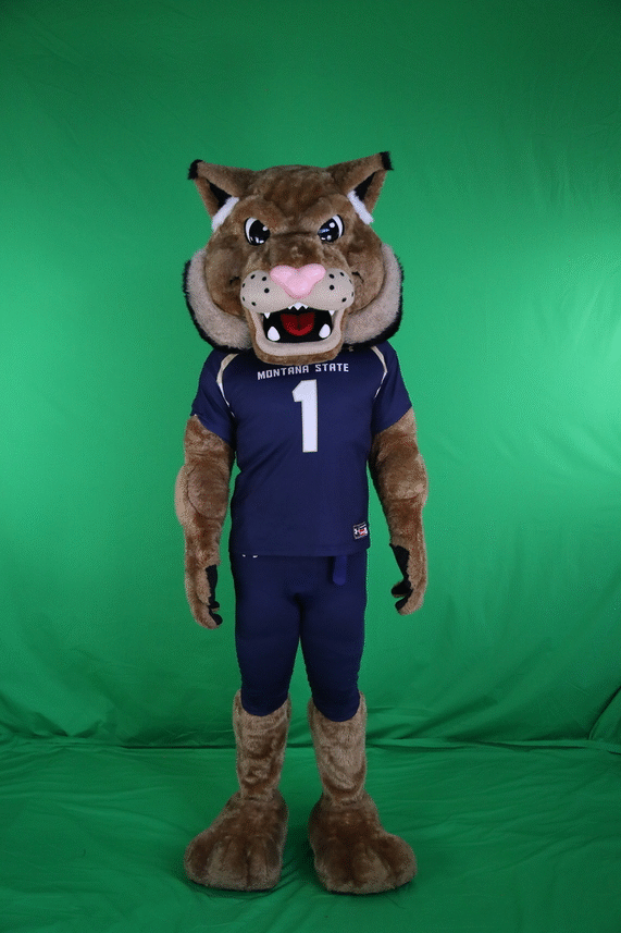 champ gocatsgo GIF by MSU Bobcats