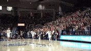 GonzagaBulldogs celebration basketball bench gonzaga GIF