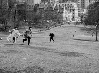 john cassavetes shadows GIF by Maudit