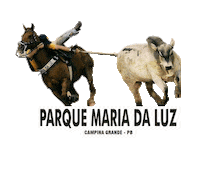 parquemariadaluzoficial vaquejada parquemariadaluz parque maria da luz maria da luz Sticker