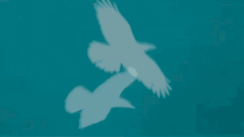 marianthe_loucataris giphygifmaker GIF