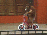 boredom GIF