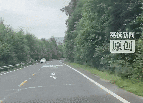 引用:新京報