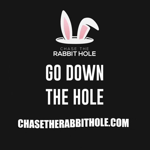 chasetherabbithole giphygifmaker rabbit ideas hole GIF