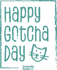 Ecoshell cat kitty cat head gotcha day Sticker
