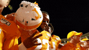 Tennessee Football Ut GIF by Tennessee Athletics