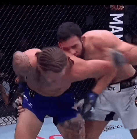 Fight Ufc GIF by promaslist