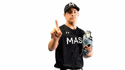 MNMASH giphyupload baseball mlb ball GIF