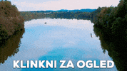 GIF by Dunking Devils