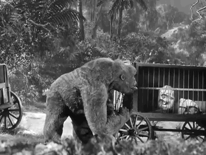 classic film GIF by Warner Archive