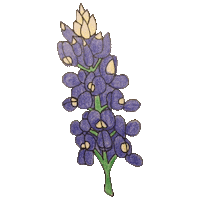 helpaustinnow fun illustration blue flower Sticker