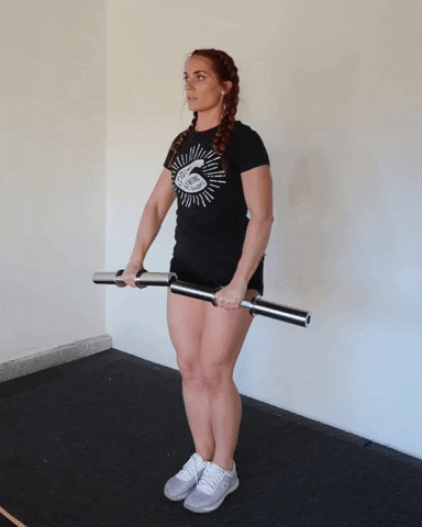 megsquats giphyupload GIF