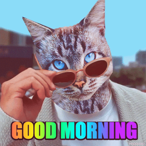 Good Morning Hello GIF by PEEKASSO