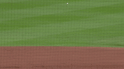 New York Mets Sport GIF by MLB