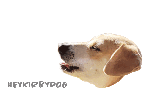 Ha Ha Ha Laughing Sticker