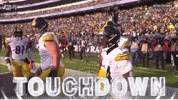 Excited Nfl GIF by Pittsburgh Steelers
