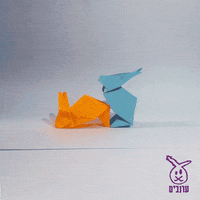 arnavim bunnies arnavim GIF