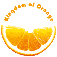 orange jeruk Sticker by NutriSari
