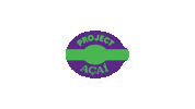 Ice Cream Spoon Sticker by Project Acai