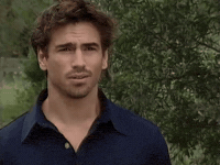 Harry Reynolds GIF