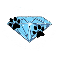 Ditrr Sticker by Diamond In The Ruff Rescue