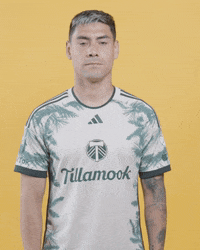 Mls Portland GIF by Timbers