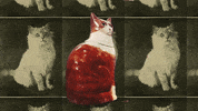 johnesullivan jesft GIF