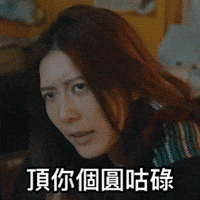 Tiger Mirror GIF by ViuTV