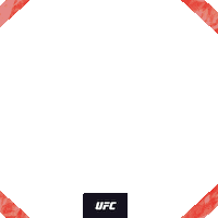 Valentina Shevchenko Mma Sticker by UFC