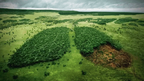 antoniomanco giphyupload GIF