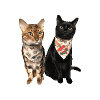 Tattoo Sticker by Geekster Pets