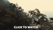 Drone GIF by AirVuz