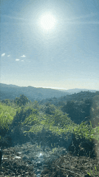 Puerto Rico Loop GIF