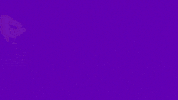 Jacablob pink crying purple shoes GIF