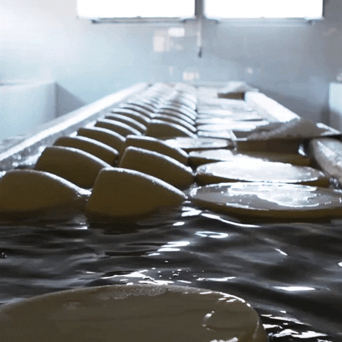 Cheese Swimming GIF by Parmigiano Reggiano
