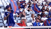 france fans GIF by NRL
