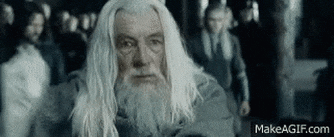 Gandalf GIF by memecandy