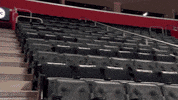 Sport Basketball GIF by Detroit Pistons