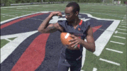 rmuathletics rmu robert morris robert morris university GIF
