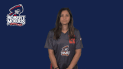 rmuathletics rmu robert morris robert morris university GIF