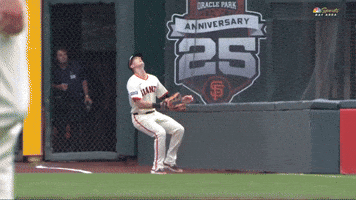 San Francisco Giants Wow GIF by MLB