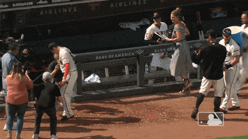 Regular Season Sport GIF by MLB