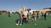 Nos Alive Festival GIF by Licor Beirão