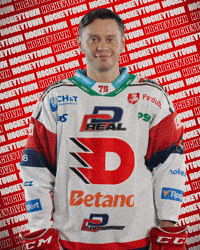Hockey Czech GIF by HC Dynamo Pardubice