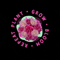 Flower Grow GIF
