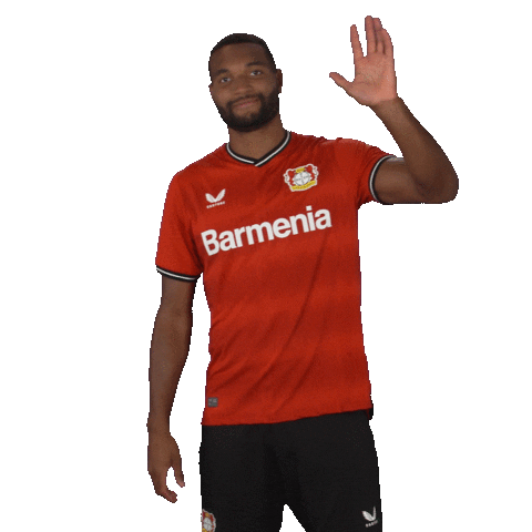 See You Goodbye Sticker by Bayer 04 Leverkusen