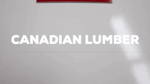 CanadianLumber giphygifmaker canadianlumber GIF