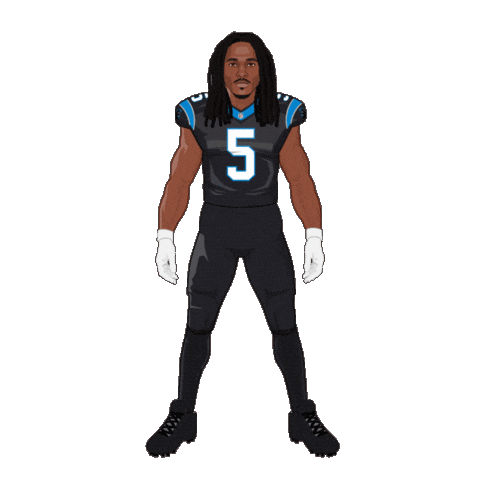 Keep Pounding Carolina Panthers Sticker by SportsManias