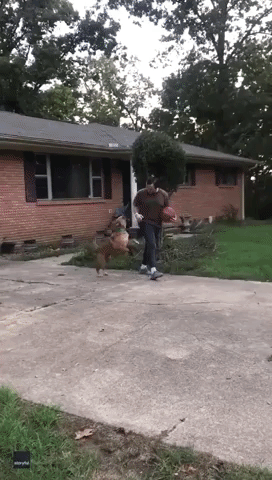 Dog Puts Up Some Strong D While Balling With Owner