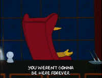 Season 2 GIF by The Simpsons